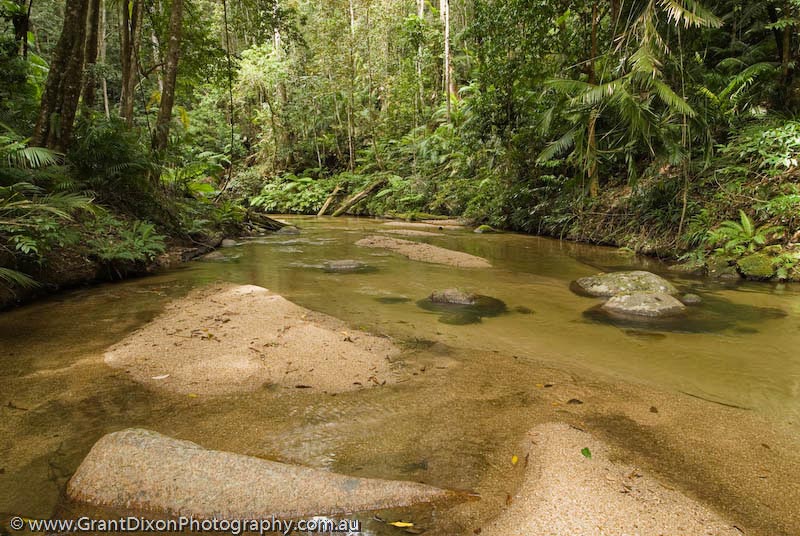 image of Daintree rainforest stream