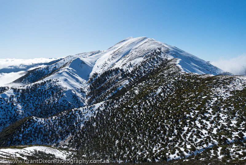 image of Mt Feathertop winter 1