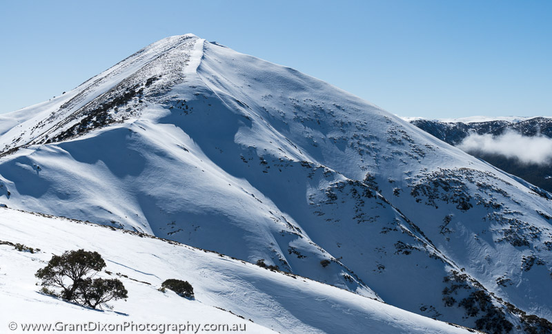 image of Mt Feathertop winter 2