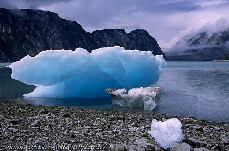 image of Glacier Bay iceberg blue 5