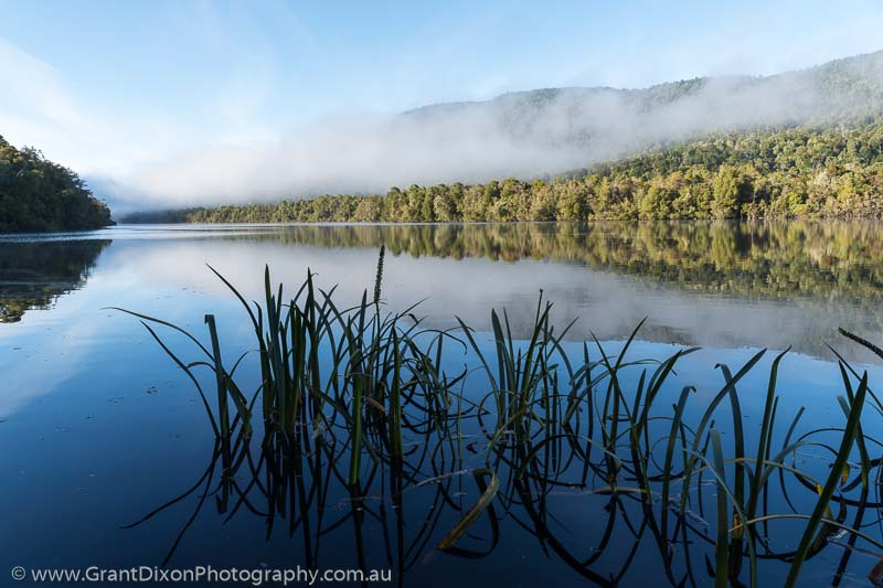 image of Gordon River early morning  1