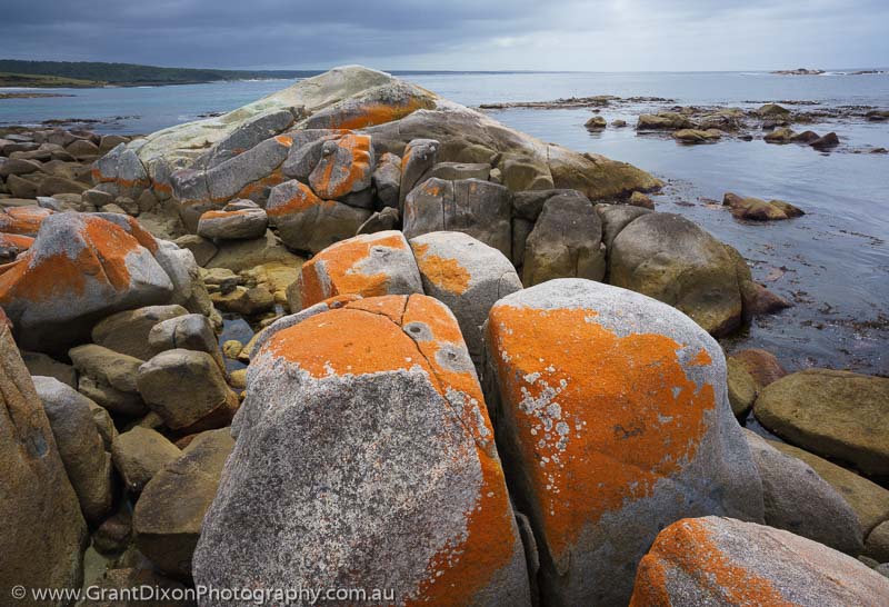 image of Bay of Fires granite 1