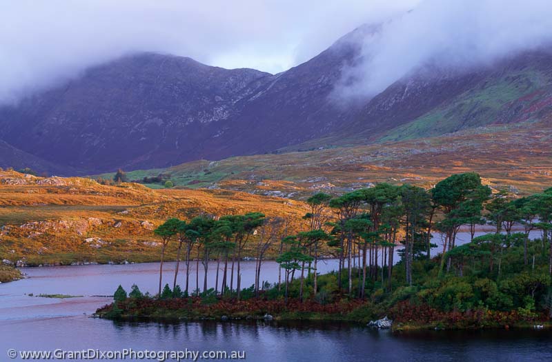 image of Connemara dawn 3