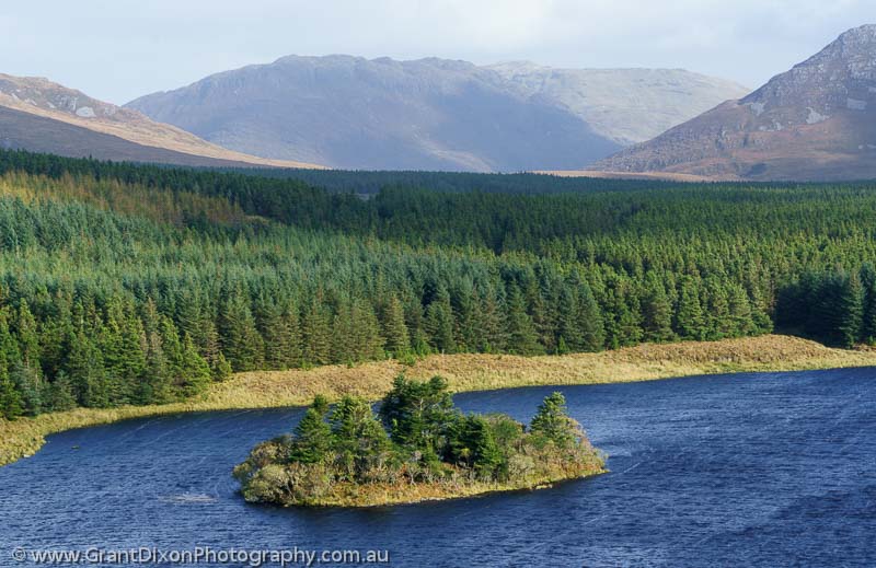 image of Connemara lake & pines
