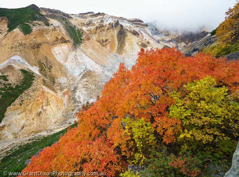 image of Tokachi-dake autumn 3