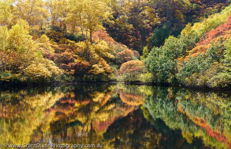 image of Daisetsuzan autumn lake 4