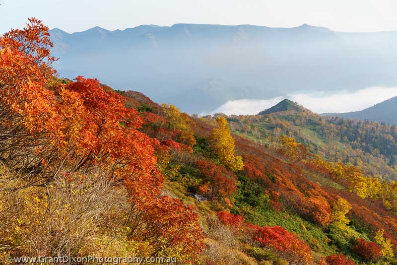 image of Daisetsuzan autumn 11