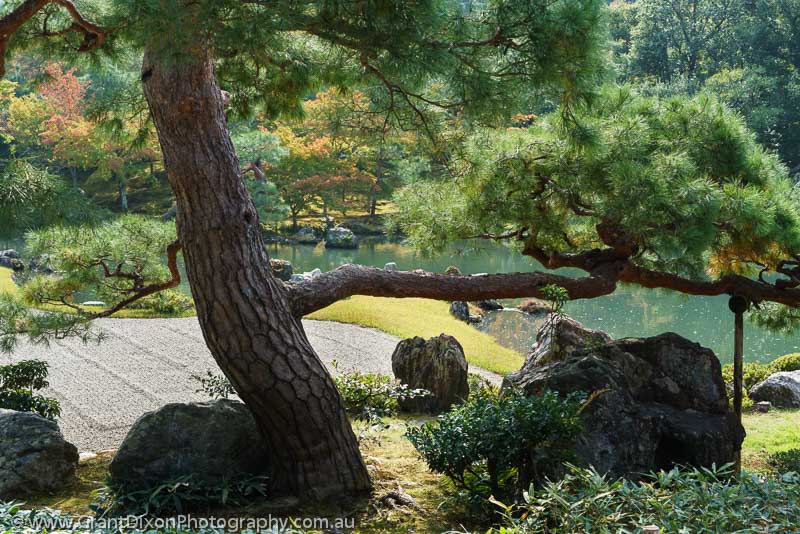 image of Sogenchi Garden 3