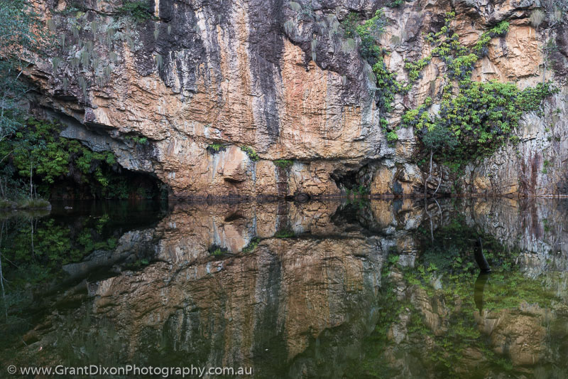 image of Barramundie waterhole reflection 2