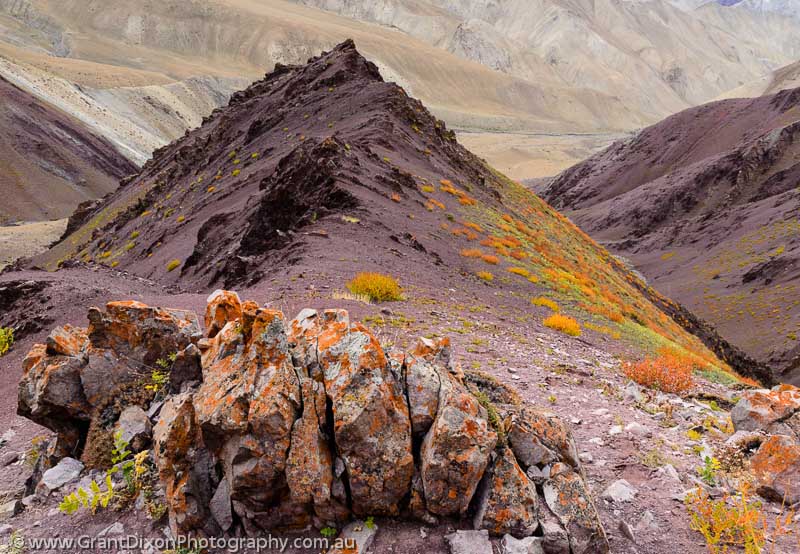 image of Ladakh mountain autumn 1