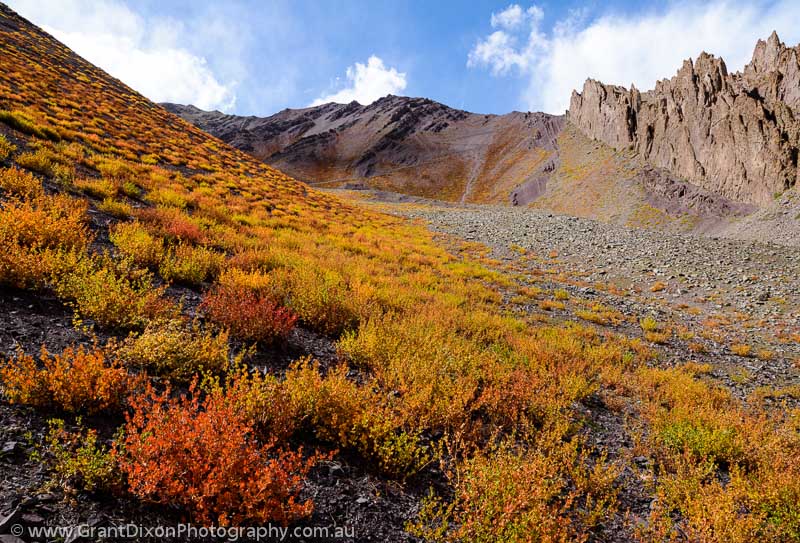 image of Ladakh mountain autumn 5