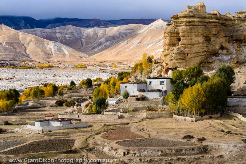 image of Mustang Autumn 2