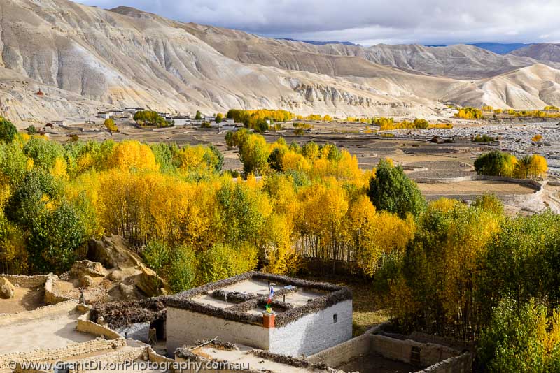 image of Mustang Autumn 1