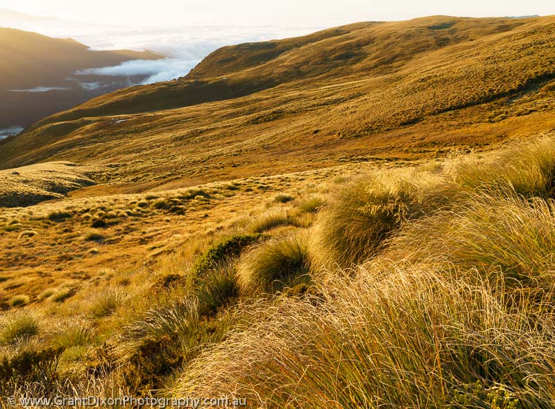 image of Tussock valley