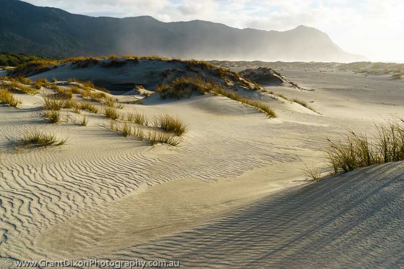 image of Martins Bay dunes 1