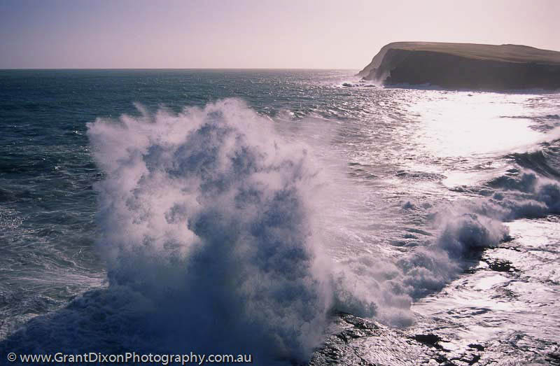 image of Curio Bay wave