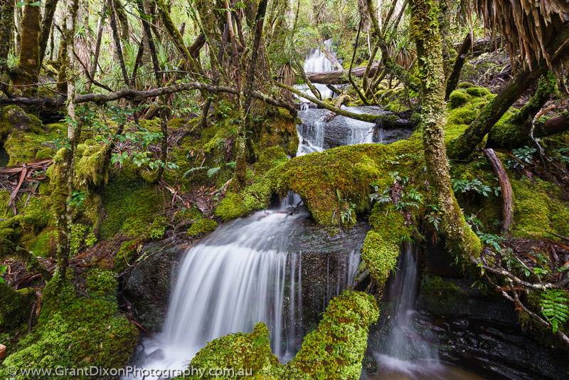 image of Rainforest cascade 1