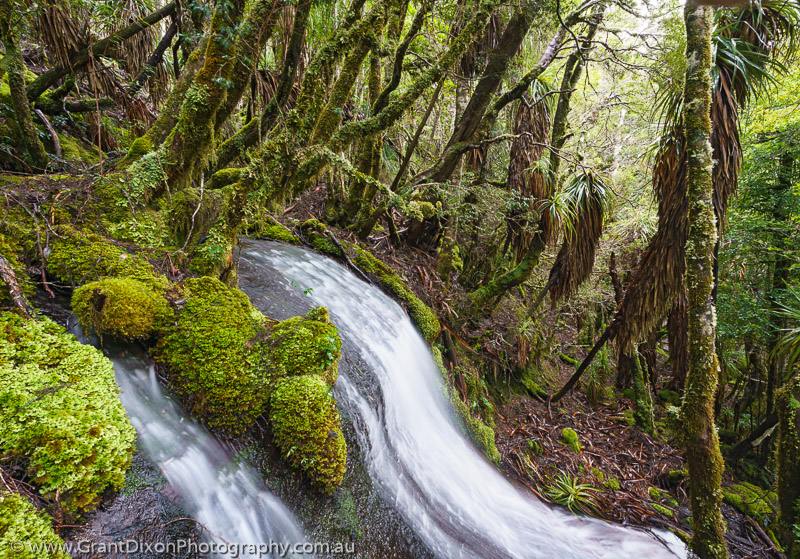 image of Rainforest cascade 2