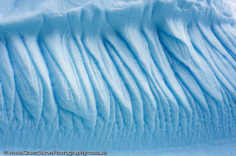 image of Iceberg flutes