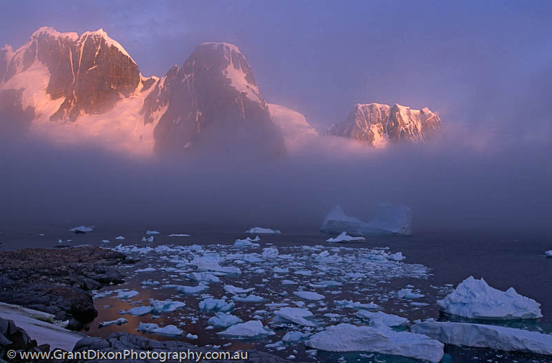 image of Lemaire icebergs at dusk