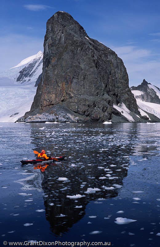image of Antarctic paddler 2