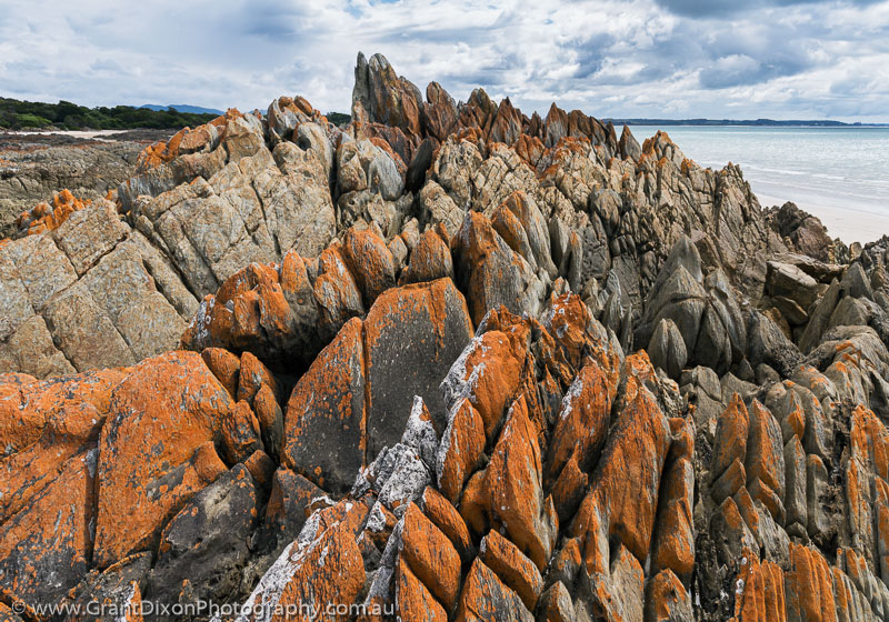 image of Rocky Cape pinnacles