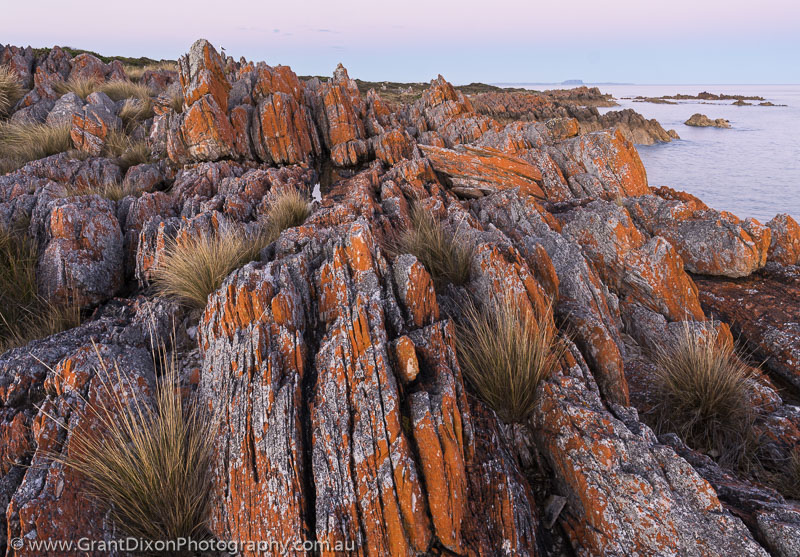 image of Rocky Cape quartzite dawn