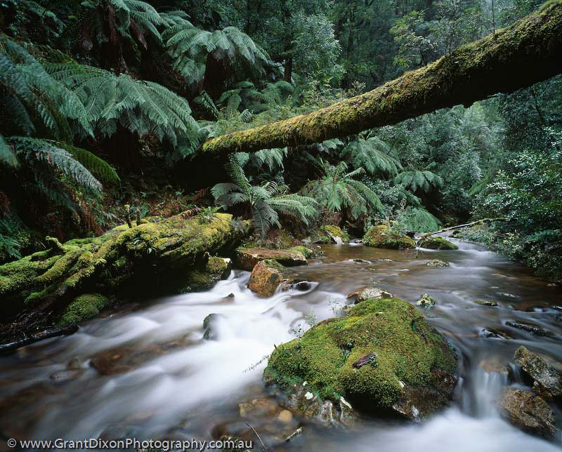 image of Tumbling Creek log