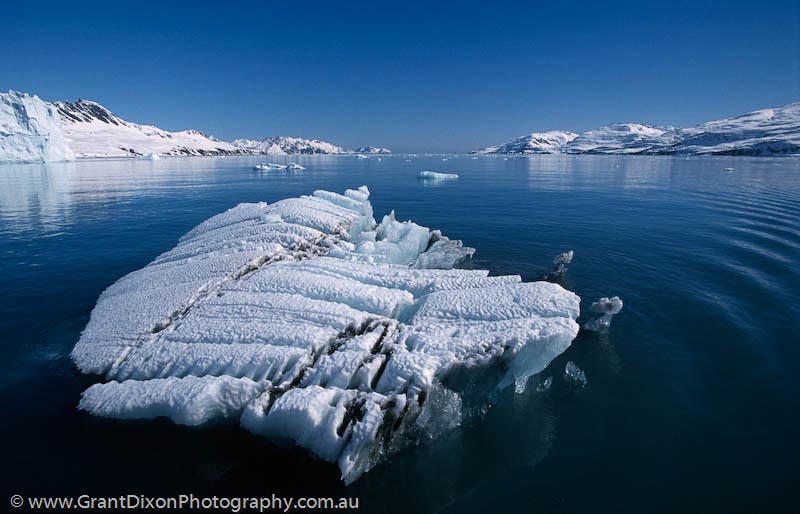 image of Cumberland Bay iceberg
