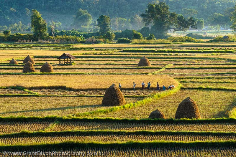 image of Shan highlands haystacks 1