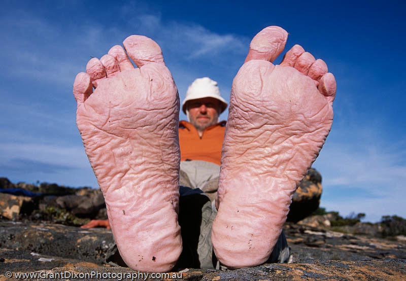 image of Bushwalkers feet