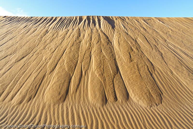 image of Tarkine dune face 1