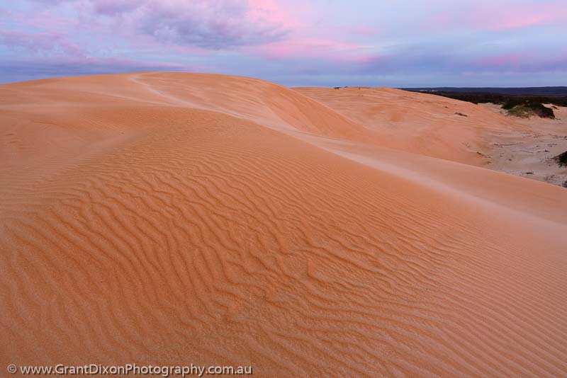 image of Tarkine dune dawn
