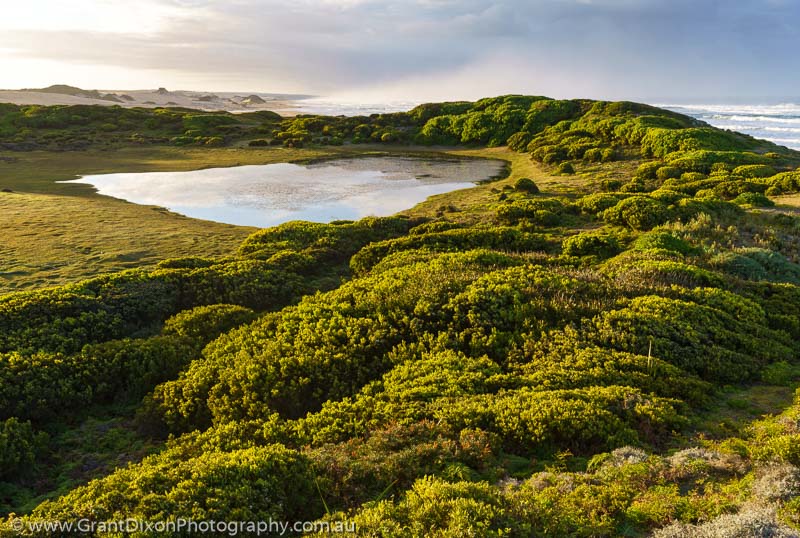 image of Tarkine dune wetland