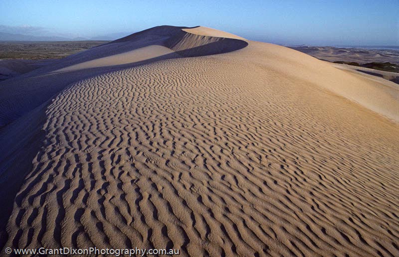 image of Tarkine dune 1