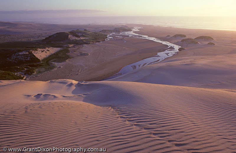 image of Tarkine dune stream