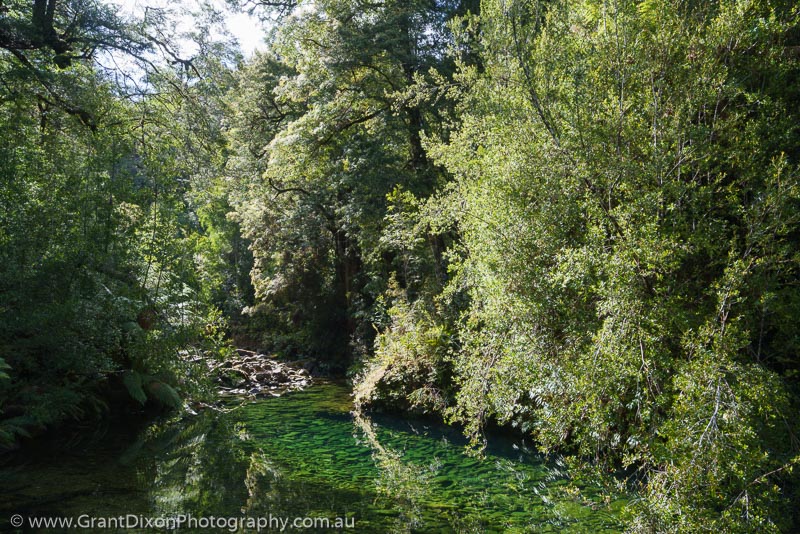 image of Salisbury rainforest pool