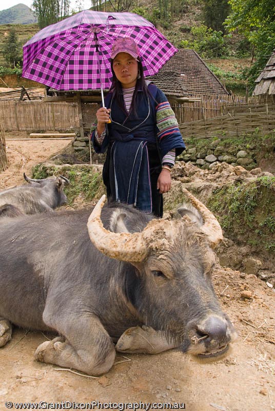image of Hmong girl with umbrella
