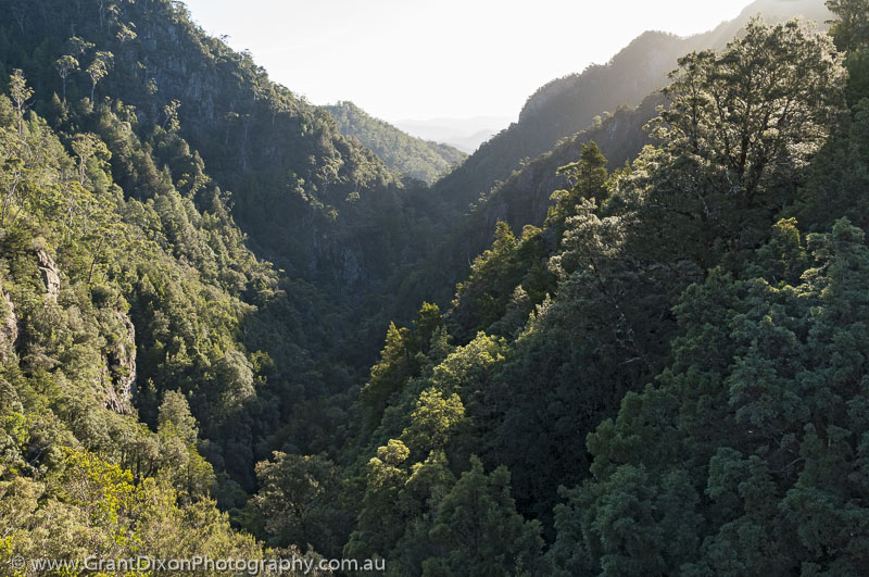 image of Rainforest gorge 1