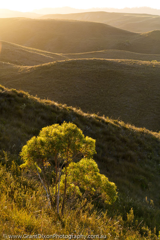 image of Buttongrass ridge backlight