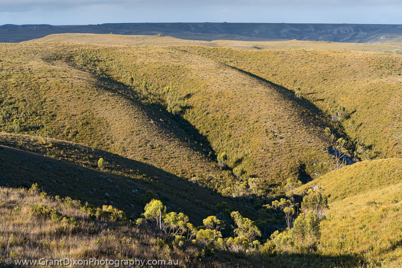image of Buttongrass ridge shadows