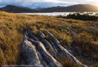 Bathurst Narrows, Tasmanian Wilderness World Heritage Area