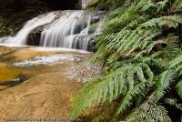 AUSTRALIA, NSW, Katoomba, Blue Mountains National Park. Cascades in Valley of the Waters, near Wentworth Falls, Greater Blue Mountains World Heritage Area.