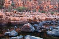 AUSTRALIA, Western Australia, West Kimberley. Sandstone boulders in waterhole, Charnley River gorge.