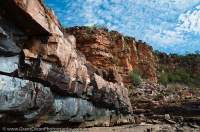 AUSTRALIA, Western Australia, West Kimberley. Charnley River. Sandstone gorge, near-continuous for some 30km on lower reaches of river.