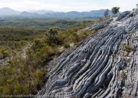 Foliated quartzite, Southwest National Park, Tasmanian Wilderness World Heritage Area