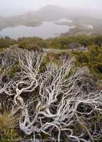 Du Cane Range, Cradle Mountain - Lk St Clair National Park, Tasmanian Wilderness World Heritage Area.