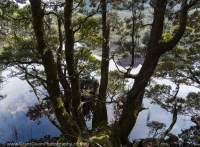 Lake Ewart, Eldon Range, Tasmanian Wilderness World Heritage Area