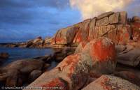 AUSTRALIA, Tasmania, Furneaux Islands, Bass Strait.