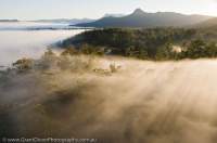 AUSTRALIA, Tasmania, Southwest. Dawn valley mist over tall Eucalypt-dominated wet forest in upper Florentine valley, zoned for logging.